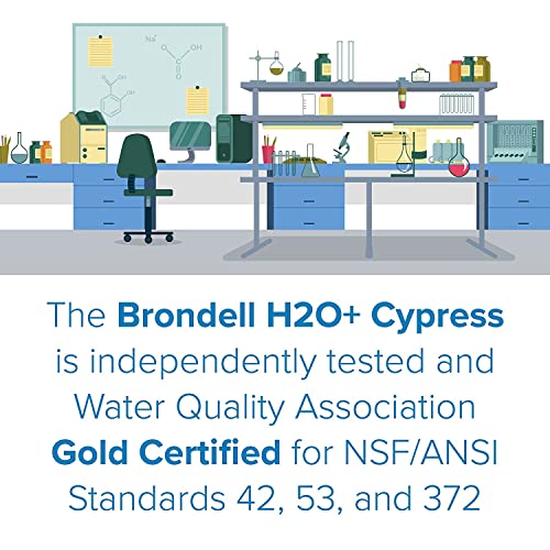 H630 Cypress Countertop Water Filter System for Kitchen Sinks