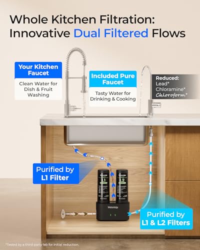 DLG L Under Sink Water Filter
