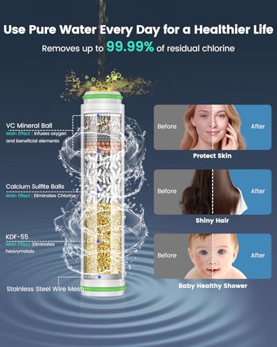 Filtered Shower Head with Handheld