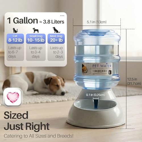 Automatic Pet Feeder & Waterer Set of 2 Pack