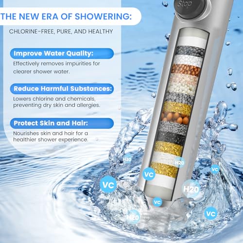 Filtered Shower Head with Handheld