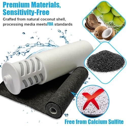 Shower Filter System