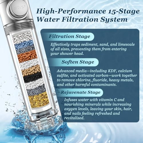 Filtered Shower Head with Handheld