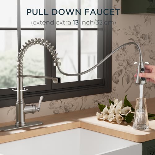 Rustic Kitchen Faucet with Pull Down Sprayer