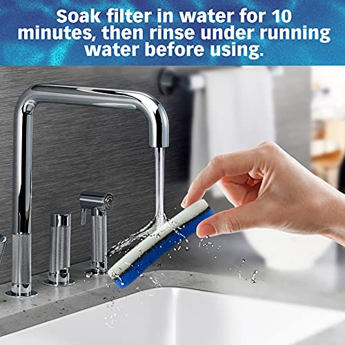 Filters for NPET WF050 Fountain (12 Count)