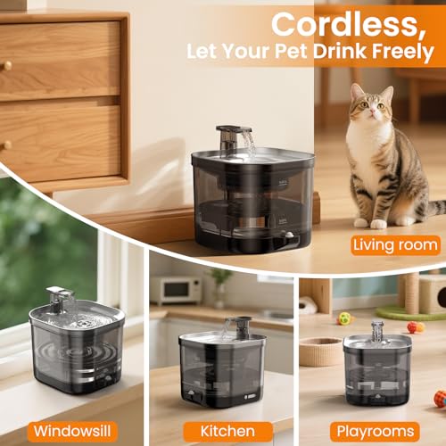 Wireless Cat Water Fountain Cordless with External Pump