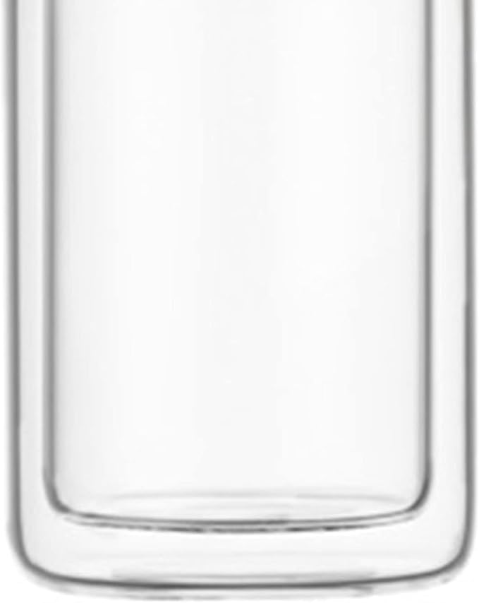 Niiyen Tea Infuser Bottle Glass Tea Tumbler with Infuser 420ml Double Layer Stainless Steel Leakage Proof Water Bottle for Loose Leaf Tea for Office Travel Home(Stainless steel)