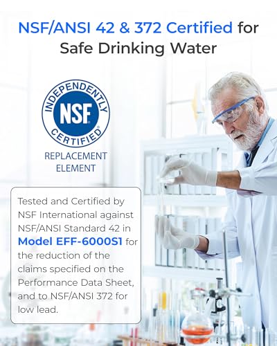 4396701 EDR6D1 Refrigerator Water Filter (2 Count)
