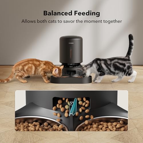 Automatic Cat Feeder with Camera for Two Cats