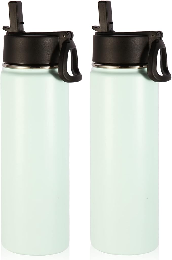 Volhoply Insulated Water Bottles with Straw Bulk 2 Pack, 22 oz Stainless Steel Bottle with Handle Lid,Double Walled Metal Water Cups with Wide Mouth, Reusable Cold Water Flask for School(Fog,2 Set)