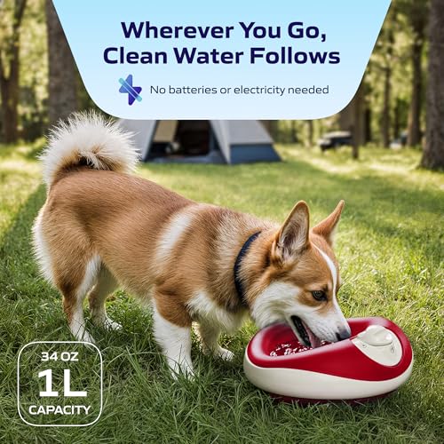 Mini Portable Filtered Water Bowl for Cats & Small Dogs