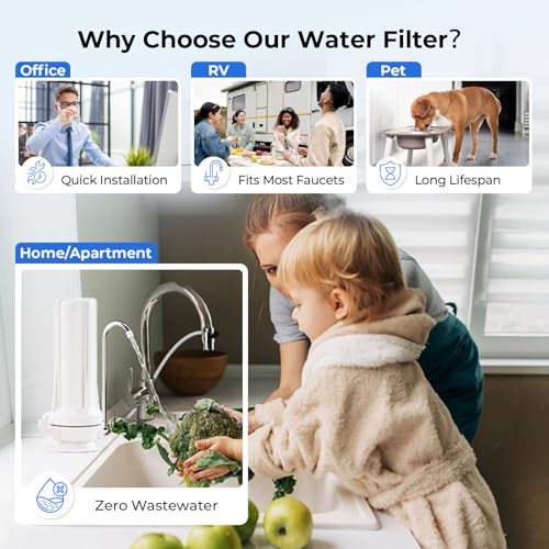 CT10 W Countertop Water Filter