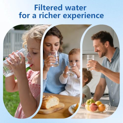 4 pack Replacement Filter for Waterdrop® WD (4 Count)