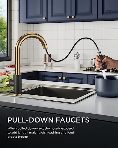 Kitchen Faucets Pull Down Sprayer