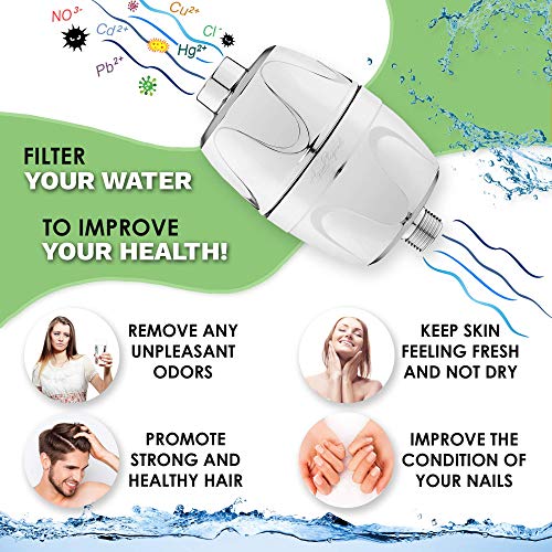 Chlorine Shower Water Filter