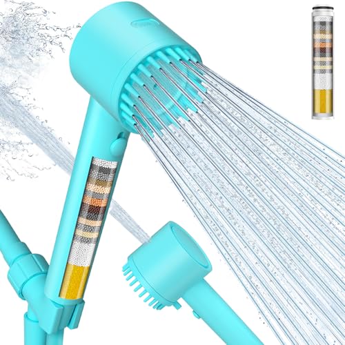 Filtered Shower Head with Handheld