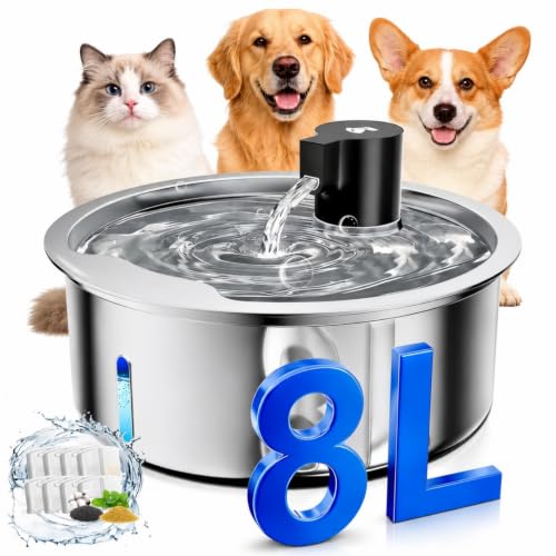 Dog Water Fountain