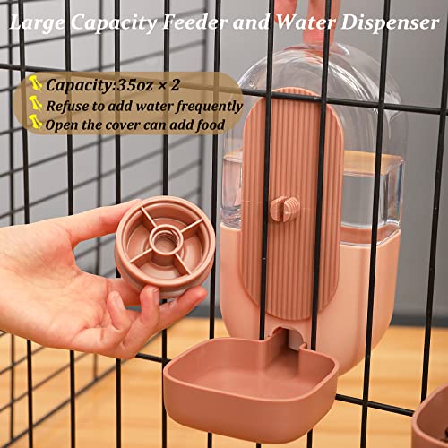 Rabbit Water Dispenser