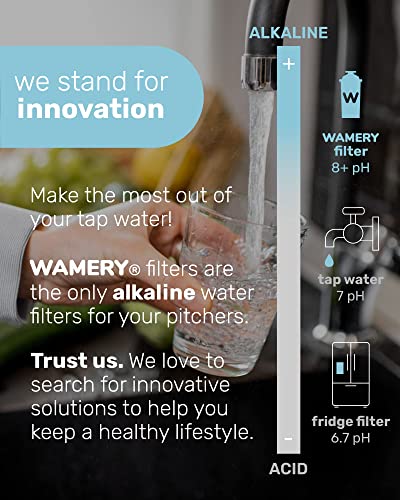 Alkaline Pitcher Water Filter Replacement for Brita Pitchers (3 Count)