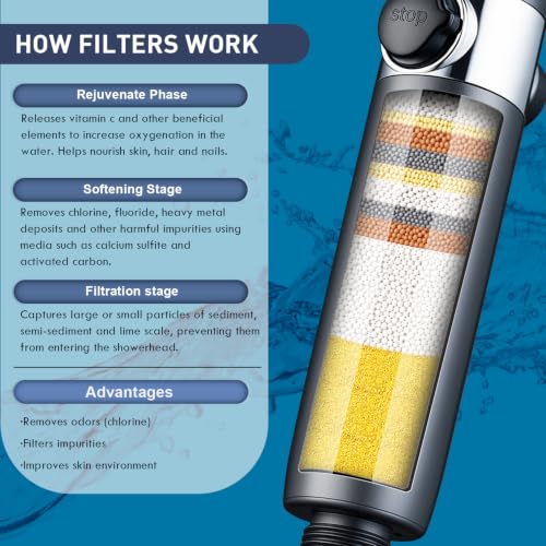Filtered Shower Head with Handheld (6 Count)