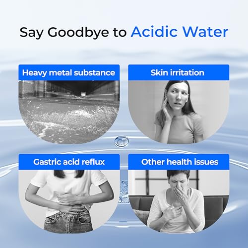 Alkaline WD F13 Water Filter (3 Count)