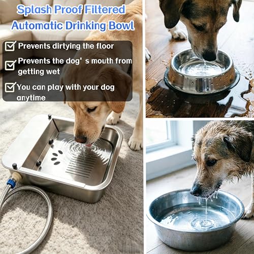 Automatic Water Dispenser for Dogs Slow