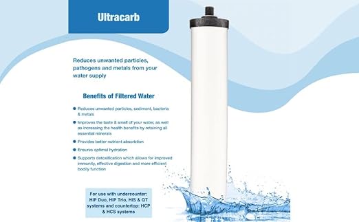 Doulton W9123053 9501 10" UltraCarb NSF Certified BSP Thread Ceramic Filter Candle Element Cartridge - 2 Pack