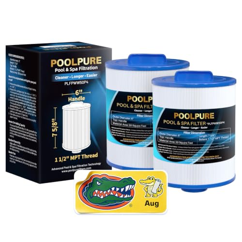 PWW50P4 Spa Filter