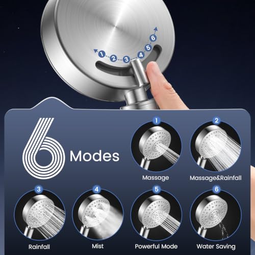 Filtered Shower Head with Handheld