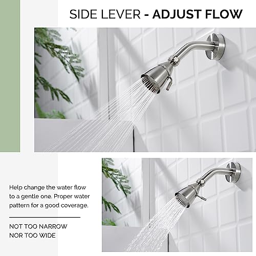 Shower Head High Flow