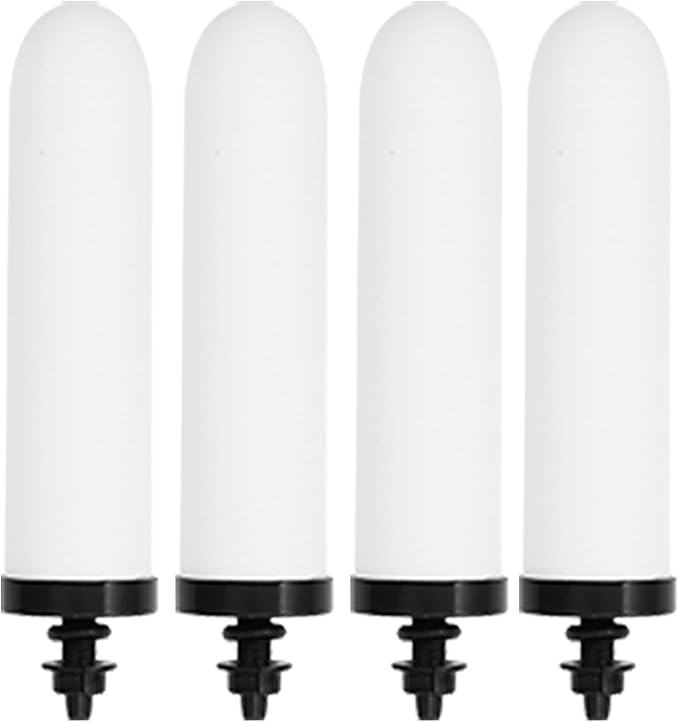 HUINING 2PCS 10" Ceramic Filter Candle Activated Carbon Replacement Filters Compatible with ProOne and Berkey Countertop Gravity Water Filter System, Household Water Bucket,Water Cooler Filtration (4)