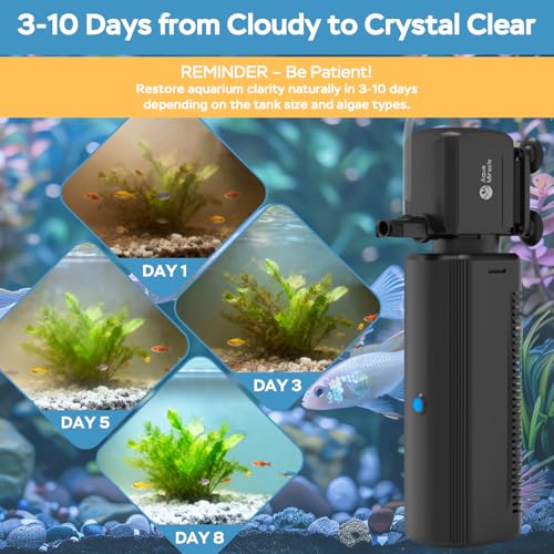 Fish Tank Filter with Timer & Filter Sponge