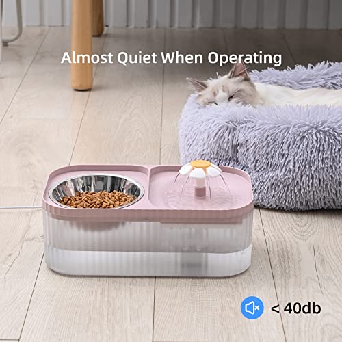 Cat Water Fountain and Food Bowl