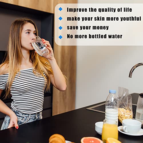 12GPM Ultraviolet Water Filter (12 Count)