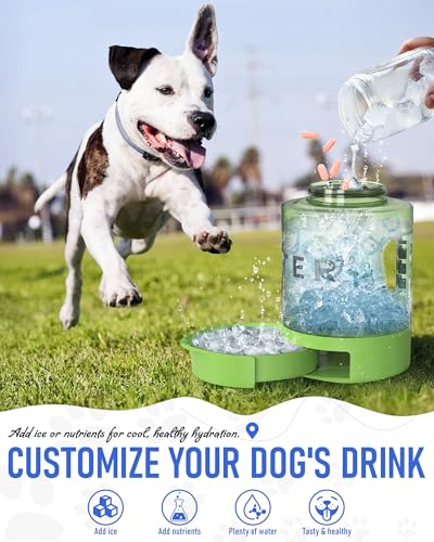 Portable Dog Travel Water Bottle