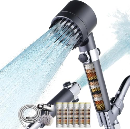 Filtered Shower Head with Handheld (6 Count)
