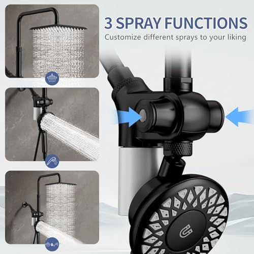 Filtered Rain Shower Head with Handheld Spray Combo