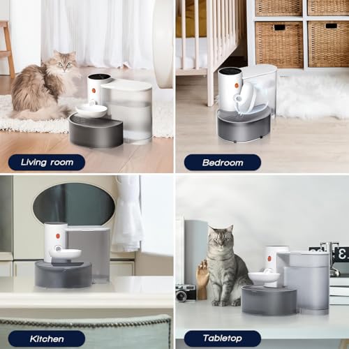 Smart Wireless Pet Water Fountain (6 Pound)