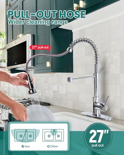 Kitchen Faucet with Pull Down Sprayer