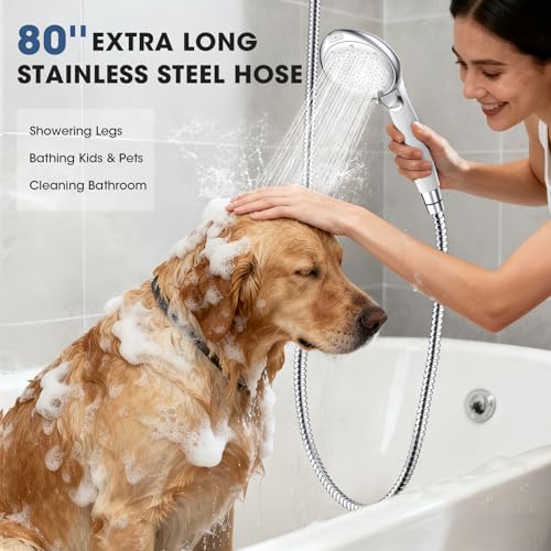 Filtered Shower Head with Handheld