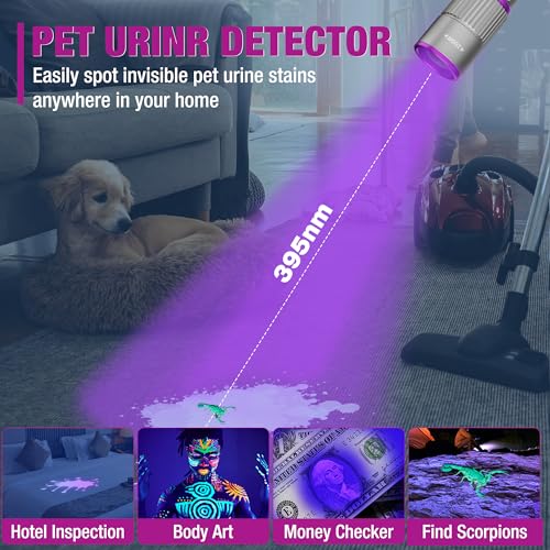 Rechargeable Pen Flashlight with UV and White Light