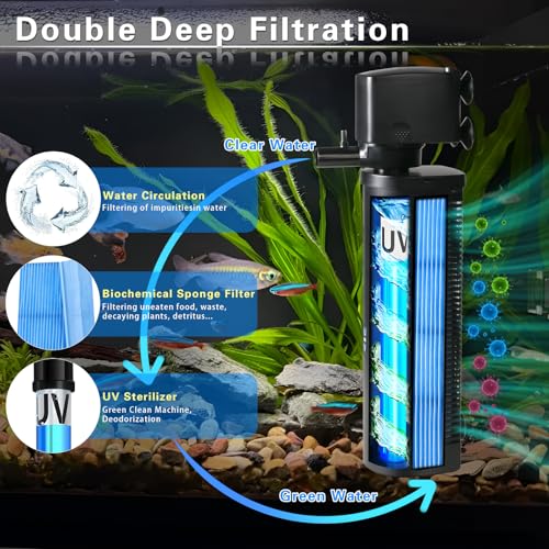 Large Aquarium U