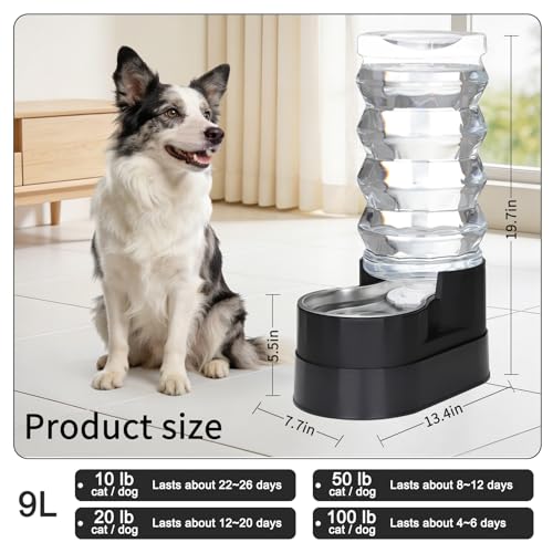 9L Elevated Dog Water Dispenser