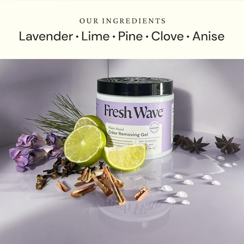 Lavender Odor Eliminator Gel 2Pk 15 oz (30 Fl Oz)