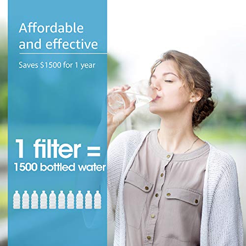 WFFMC303X Faucet Water Filter (3 Count)