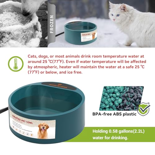 Heated Water Bowl for Outdoor Cats