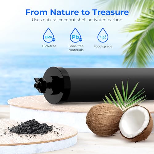 Black Water Filter (3 Count)