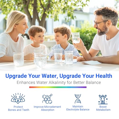 Alkaline 7 Stage Stainless Steel Countertop Water Filter