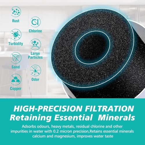 2 Pack 100186 Replacement Filter Cartridge Compatible with Amway espring Water Filter System (100186 Count)
