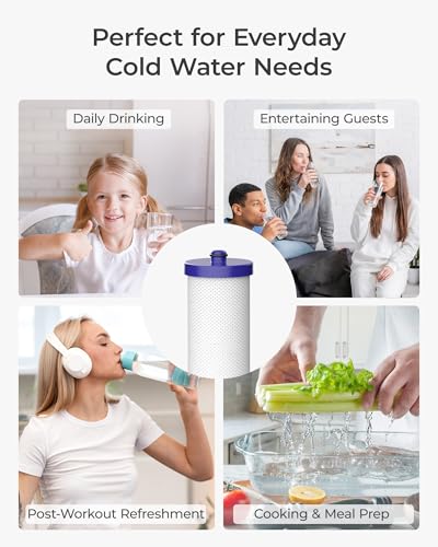 WF1CB Water Filter Replacement for Frigidaire® WFCB® (2 Count)